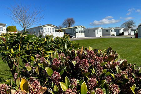 trelay holiday park, cornwall